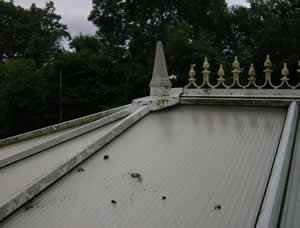 Conservatory roof before